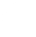 Industrial Motors